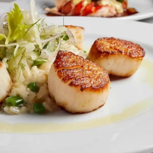 Opulent savings, timeless appeal — Ocean Prime