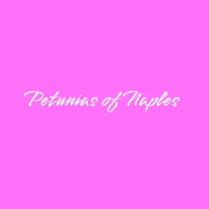 Petunias of Naples